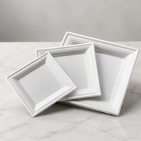Assiettes jetables en bagasse de canne à sucre biodégradables et compostables de 10x10 pouces en gros pour les vendeurs de food trucks