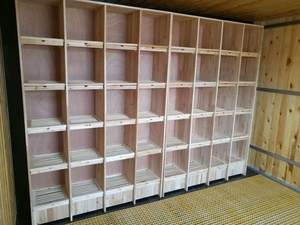 En gros, Nid de reproduction en bois massif pour pigeons, grande cage à compartiments multiples pour pigeons de course et colombière de reproduction - Product Image 5