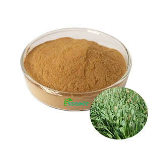 Оптовая цена на натуральный экстракт папайи, порошок из листьев папайи - Product Image 1