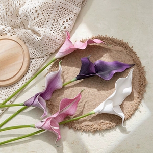 Fleur artificielle Calla Lily Rainbow <span class=keywords><strong>Sketcher</strong></span> en EVA, branche de simulation au toucher réel, tige florale élégante pour décoration de mariage et de maison, vase - Product Image 1