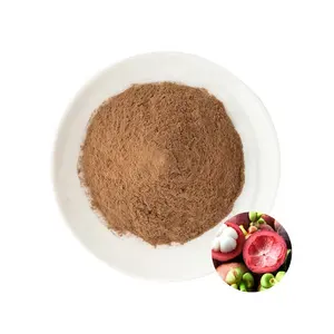 Polvere di estratto di mangostano naturale puro al 100% in stock