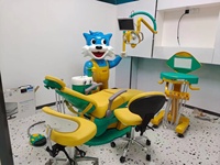 HOCHEY Dental Chair Cartoon Kinder Kinder Dental Chair mit Movie Player Multifunktion ale Dental Colour ful Chair Unit