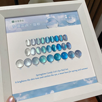 ZRKGEL Échantillon Gratuit Créez Votre Marque Formule Professionnelle de Salon Sans TPO ni HEMA Kit de Vernis Gel Magnétique Bleu Soak-Off