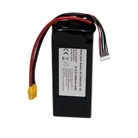 Аккумулятор Mason Power 360 Втч/кг 20000 мАч 22.2В/44.4В 6S/12S твердотельный LiPo для БПЛА VTOL и самолетов с неподвижным крылом, а также для геодезических и картографических дронов