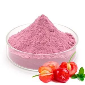 Vitamin Factory Supply Vitamin C 17% 25% Acerola Cherry Fruit Extract Powder