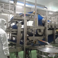 3000l Ananassap Kan Verwerkingsfabriek