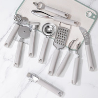 Ensemble d'ustensiles de cuisine multifonctionnels : coupe-pizza et éminceur d'ail en acier inoxydable, râpe à fruits, ensemble d'accessoires de cuisine