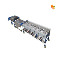 Fruit Sizer Grader Blueberry Grading Sorting Avocado Fruit Sorting Calibrating Machine