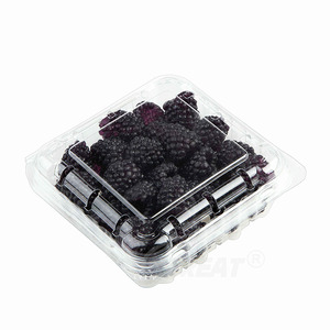 Op maat gemaakte groothandel wegwerp voedselveilige fruitverpakkingen voor onderweg, blister clamshell doosverpakkingen van PET plastic fruitcontainers - Product Image 6