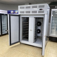 100 kg zware industriële automatische snelvriezer, blastchiller, roestvrij staal, luchtgekoeld, snel IQF-vriesapparaat 28
