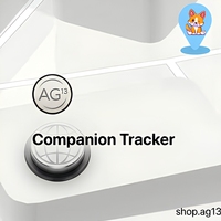 Traceur GPS double système pour animaux de compagnie, dispositif anti-perte Bluetooth pour chiens et chats, suivi en temps réel Android iOS