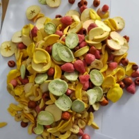 Smakelijke En Gezonde Gemengde Gedroogde Fruit-En Groentechips-Ideaal Om Onderweg Te Snacken