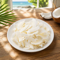 Keripik Daging Kelapa Beku Kering yang Renyah, Tanpa Panggang Tanpa Minyak, Keripik Daging Kelapa Buah Beku Kering