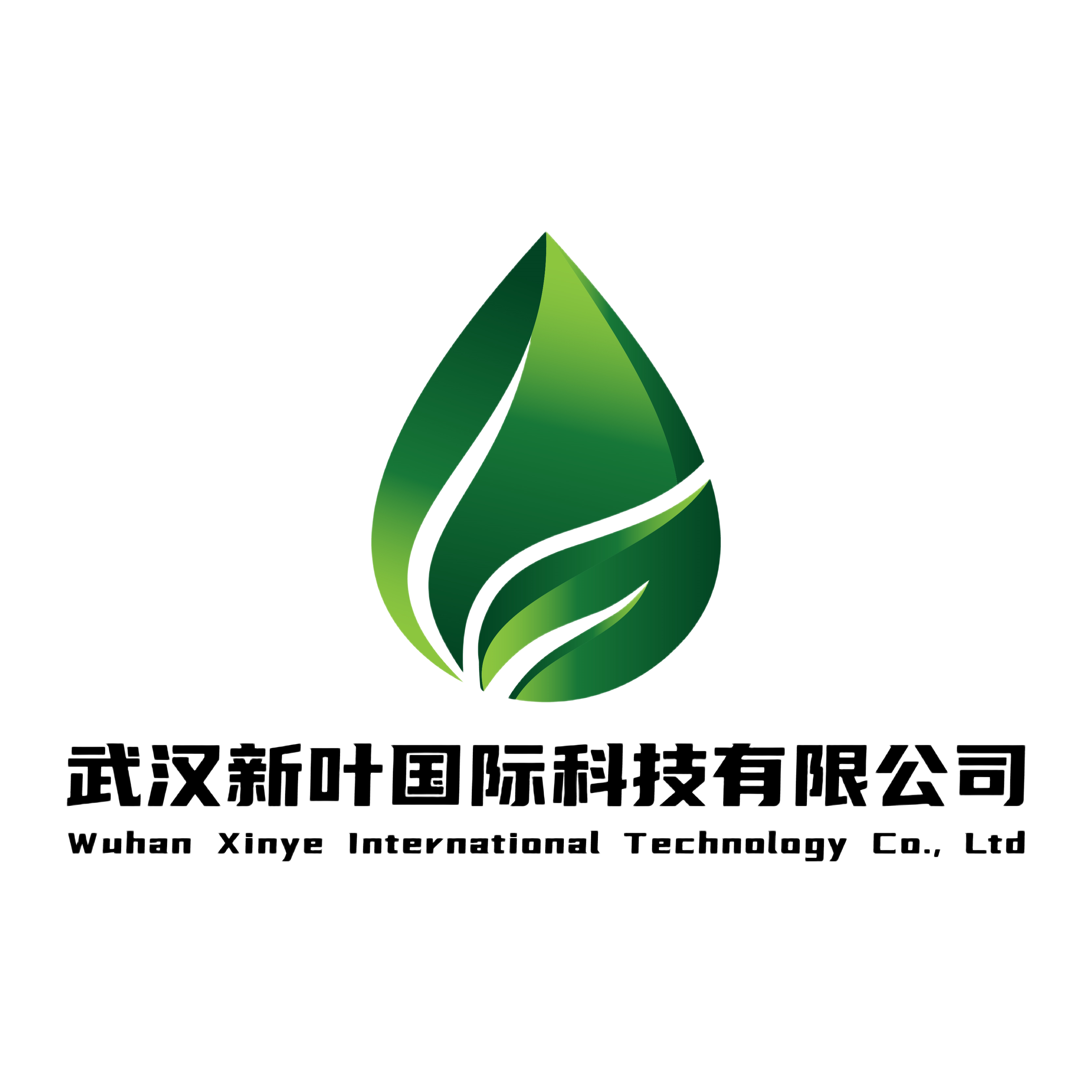 Wuhan Xinye International Technology Co., Ltd. logo