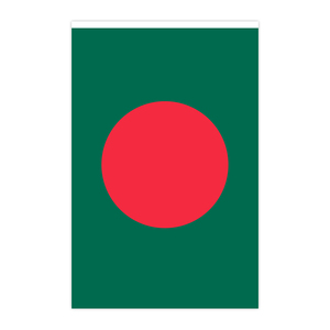 Produttore all'ingrosso bandiera Bangladesh Bunting formato personalizzato e modello con la stampa digitale per le decorazioni - Product Image 2