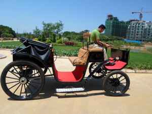 Vagón de caballos de calabaza de boda victoriana con capó, transporte especial turístico, carro de caballos - Product Image 5