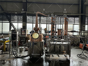 Destilador Híbrido Profesional Ace de 1000L para Whisky/Ginebra/Brandy Artesanal, Equipo de Destilería - Product Image 2