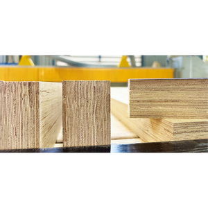 Madera Contrachapada Laminada Industrial de PRIMERA CLASE E0, Madera de Caucho de Vietnam Fenólica Tailileum-400 HPF, Decoración de Doble Cara para - Product Image 6