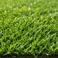 Échantillon gratuit de gazon artificiel de haute qualité, aspect naturel, doux et flexible