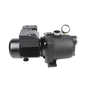 GP Enterprises Made Thermoplastic Material 115V 230V 1/2HP Shallow Well <b>Water</b> Jet <b>Pump</b> at Max 25ft Depth in China Factory Price - Product Image 2