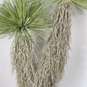 Plante artificielle en pot, décoration paysagère, plante verte décorative, type 'Straw Man Dragon Blood Tree', en matière souple - Product Image 3