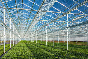 مجموعة الدفيئة التجارية عالية الجودة من البولي كربونات - Product Image 3