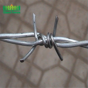 Pagar Kawat Berduri Galvanis Pelindung Baja Kawat Stainless Steel Diameter <span class=keywords><strong>5mm</strong></span> <span class=keywords><strong>2</strong></span>.<span class=keywords><strong>5mm</strong></span> 8mm Panjang Per Gulungan Dirancang di Filipina - Product Image 4