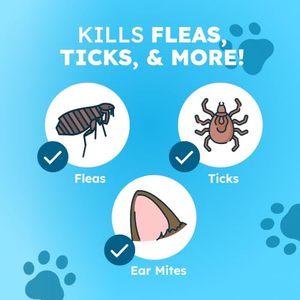 Spray anti-puces et tiques pour chien à base d'huiles essentielles végétales, élimine et repousse les puces et tiques pour chiens, utilisation sur meubles et tapis à la maison - Product Image 2