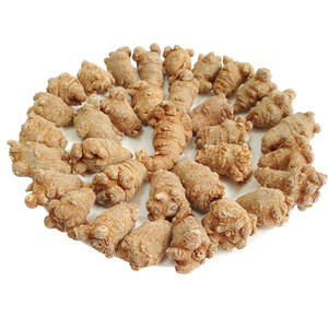 中国産人参（田七人参）薬用天然乾燥根、偽人参（三七人参） - Product Image 2