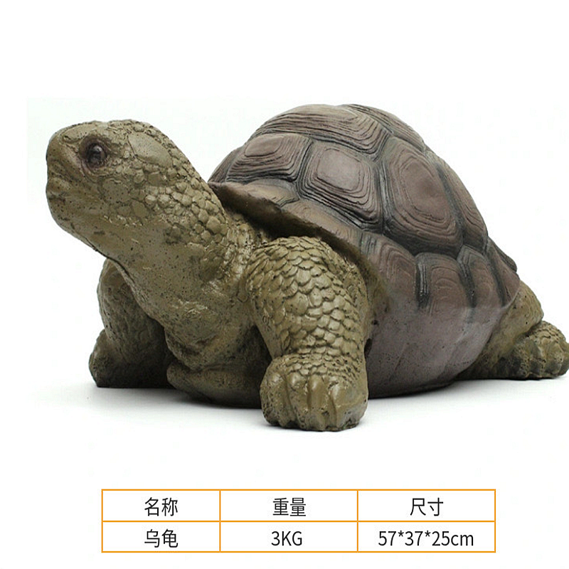 tortue