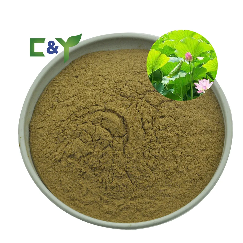 Hot selling pure natural lotus leaf extract 2% nuciferine lotus leaf powder lotus leaf extract