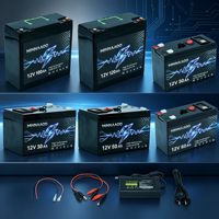 Baterai LiFePO4 12V 100Ah dengan BMS Terintegrasi, Baterai Lithium Iron Phosphate Siklus Dalam dengan Pengisi Daya untuk Penyimpanan Tenaga Surya, Kelautan, dan Sistem Off-Grid