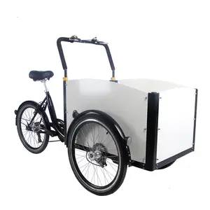 3轮电动家庭货运自行车/成人三轮车货运三轮车用于狗货运前货