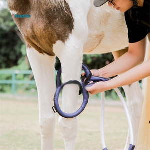 Kaphatech New <strong>Physiotherapy</strong> <strong>Equipment</strong> Pemf <strong>Magnetic</strong> <strong>Therapy</strong> Device Horse PMST LOOP PRO MAX Pemf Pain - Product Image 4