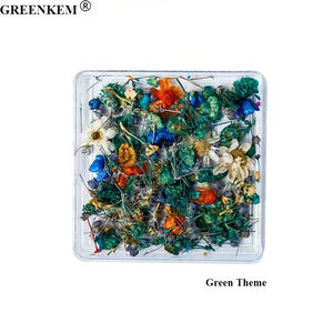 Nuevas flores secas Nail Art Charms Mixed Tianxing Sunflower Real Flower Nail Decoration DIY Dry Flower Nail Charms - Product Image 6