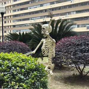 Oferta 2026: Esqueleto Humano Gigante Realista de 160 cm (60 Pulgadas/10 pies) para Decoración de Jardín, Ideal para Halloween - Product Image 5