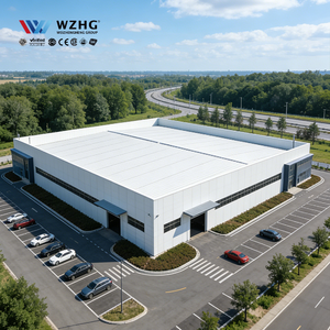 Estructura Metálica Resistente a Sismos de Acero al Carbono Q355b para Fábrica, Centro de Distribución Comercial Robusto - Product Image 1