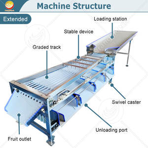 Máquina Calibradora de Frutas ORME, Máquina de Clasificación de Aguacates, Máquina de Lavado y Encerado de Frutos Secos, Máquina Clasificadora para Naranjas - Product Image 2