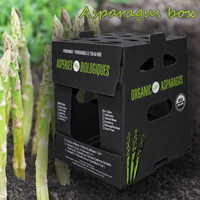 Boîte d'emballage légère en plastique PP ondulé haute résistance pour maïs doux, légumes, viande, prix usine, boîte personnalisée pour okra