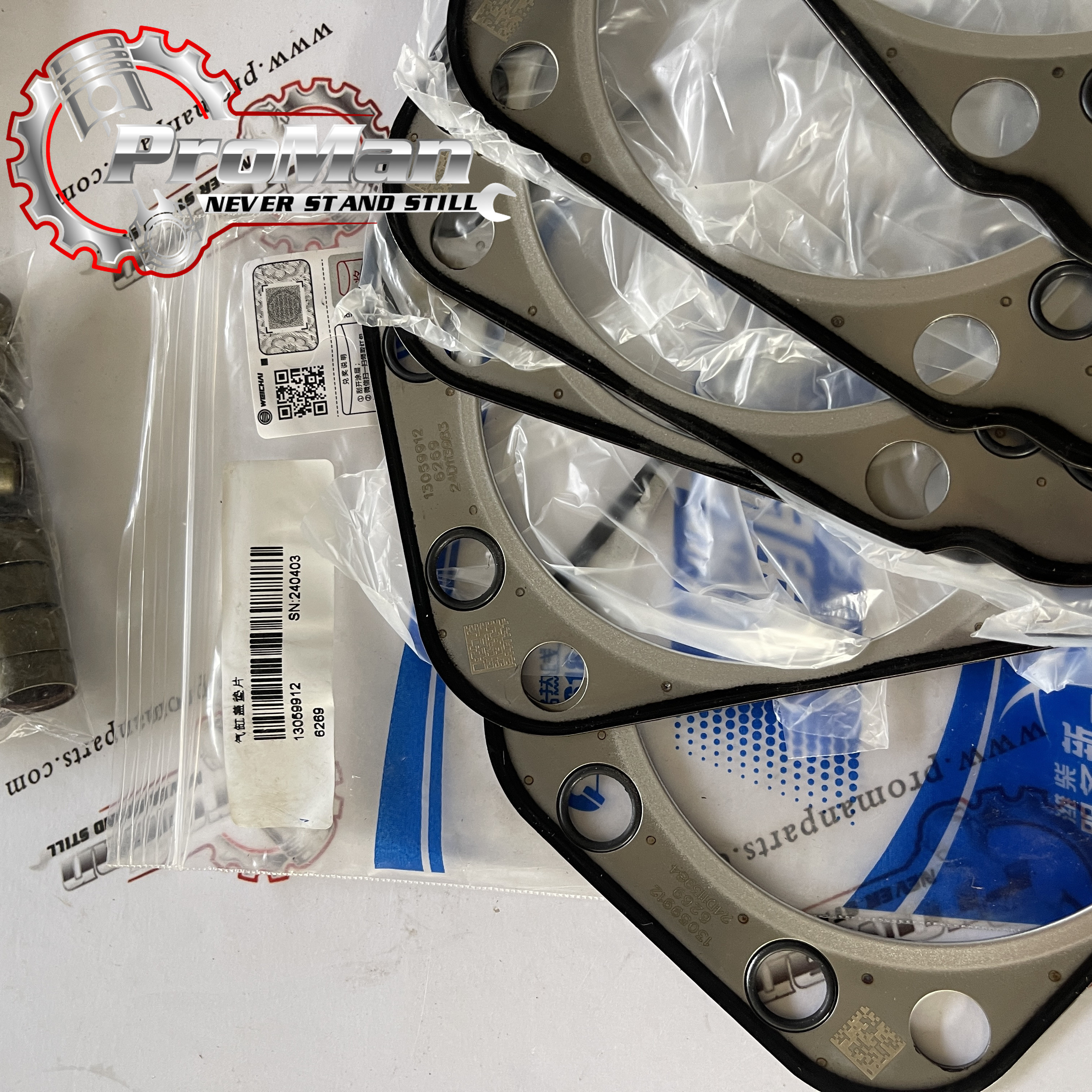 Complete Cylinder Head with Valves 111017930 111017870 for