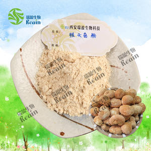 Venta al por mayor a granel orgánico <span class=keywords><strong>Hericium</strong></span> <span class=keywords><strong>Erinaceus</strong></span> Lions Mane Mushroom Powder - Product Image 2