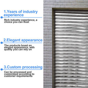 Porte à <span class=keywords><strong>enroulement</strong></span> résistante au vent - Personnalisée pour un usage commercial, les entrepôts et les usines. Portes coulissantes manuelles et électriques - Product Image 2