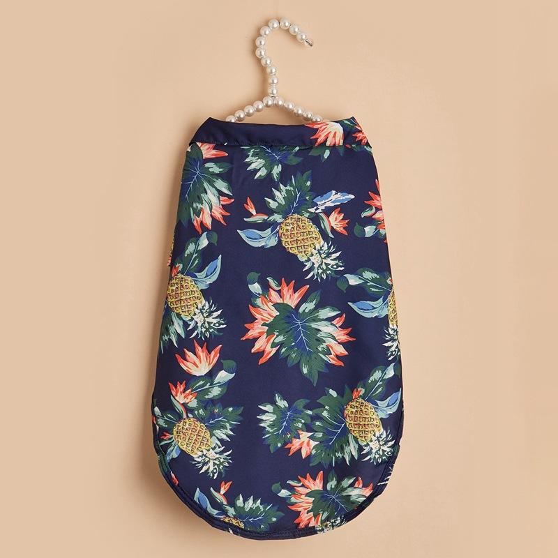 สับปะรดทิเบต