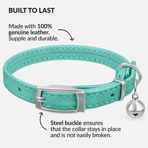 <span class=keywords><strong>Collar</strong></span> de lujo personalizado con campana desmontable de cuero verde para gatos - Product Image 2