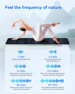 แผ่นรองบำบัด PEMF สำหรับม้า ระดับการแพทย์ คุณภาพสูง ครอบคลุมทั่วร่างกาย - Product Image 4