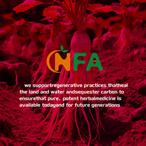 ฉลากส่วนตัวโสมอเมริกันพร้อมอาหารเสริมเพิ่มแคปซูลฟังก์ชันป้องกันร่างกายตามธรรมชาติ - Product Image 3