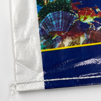 Sac tissé laminé BOPP simple face 45x65cm pour emballage de cristaux d'eau de mer