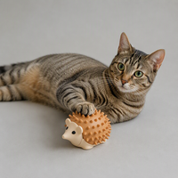 Jouet à mâcher interactif pour chats en forme de hérisson en catnip, avec coquille à picots et trous olfactifs, en matériau TPR, couleurs vert café