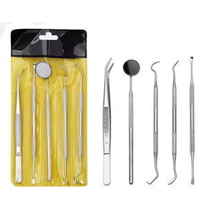 Kit d'outils dentaires en acier inoxydable, 5 pièces, grattoir à tartre dentaire, miroir buccal, outil de sélection pour dentiste, produits d'hygiène buccale, vente en gros