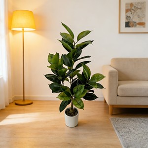 Bonsaï Arbre Caoutchouc Artificiel pour Décoration Intérieure, Plante Artificielle, Feuilles Simulées - Product Image 4